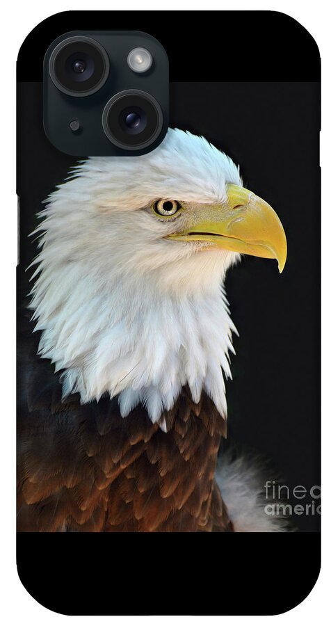 American Bald Eagle iPhone Case featuring the photograph American Bald Eagle #2 by Savannah Gibbs