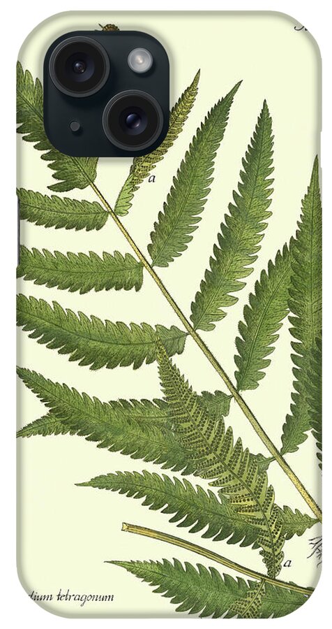 Tropical iPhone Case featuring the painting Antique Fern II #1 by Vision Studio