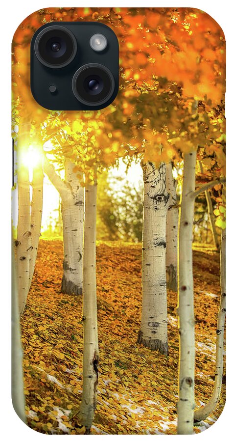 Aspen Glow iPhone Case featuring the photograph Aspen Glow #1 by Jonathan Ross