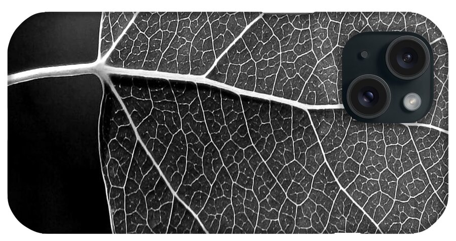 Aspen Leaf Veins iPhone Case featuring the photograph Aspen Leaf Veins #1 by Natalie Dowty