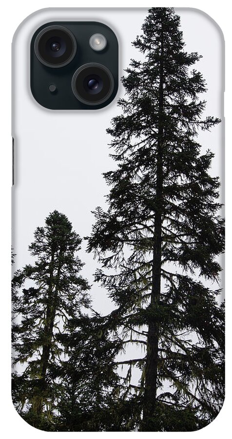 British Columbia iPhone Case featuring the photograph Bahman and his courtiers #1 by Steve Estvanik