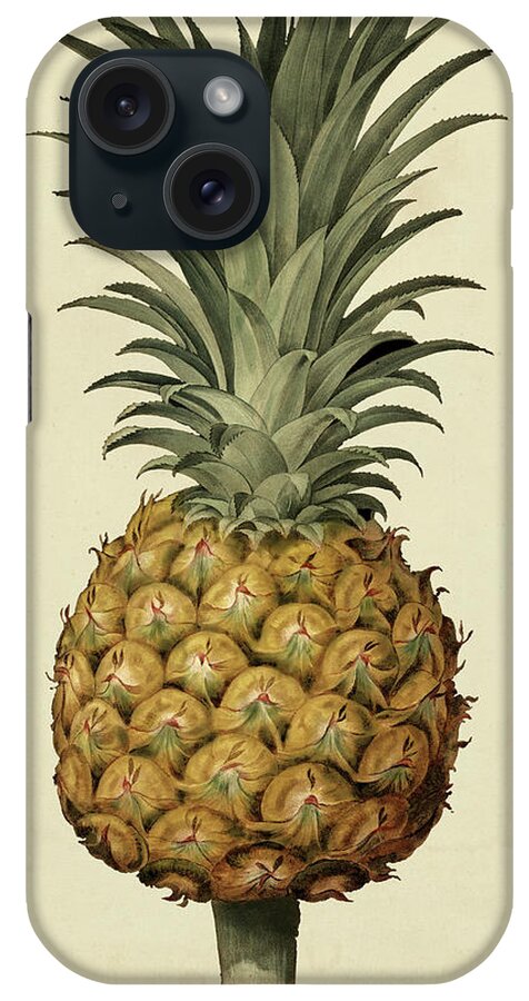 Pineapple iPhone Case featuring the painting Brookshaw Antique Pineapple II #1 by George Brookshaw
