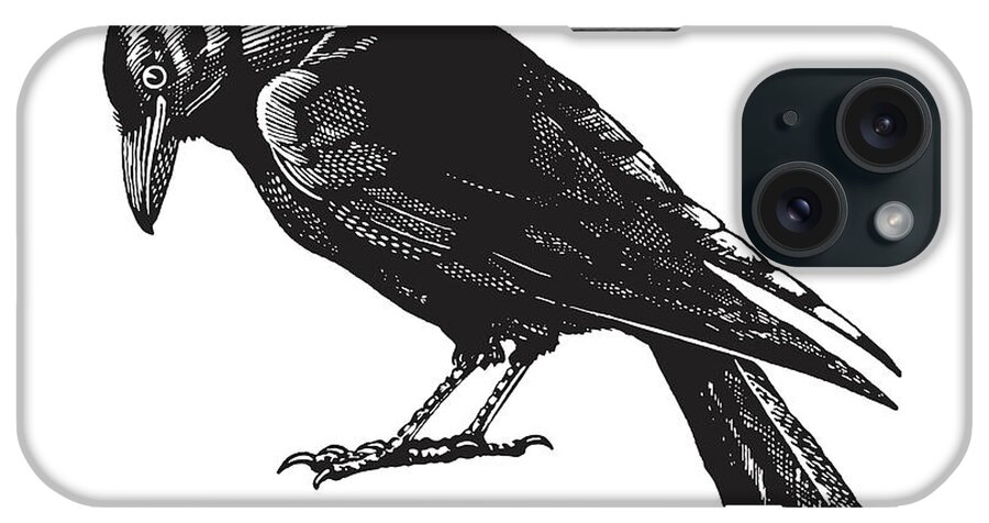 Animal iPhone Case featuring the drawing Crow #1 by CSA Images