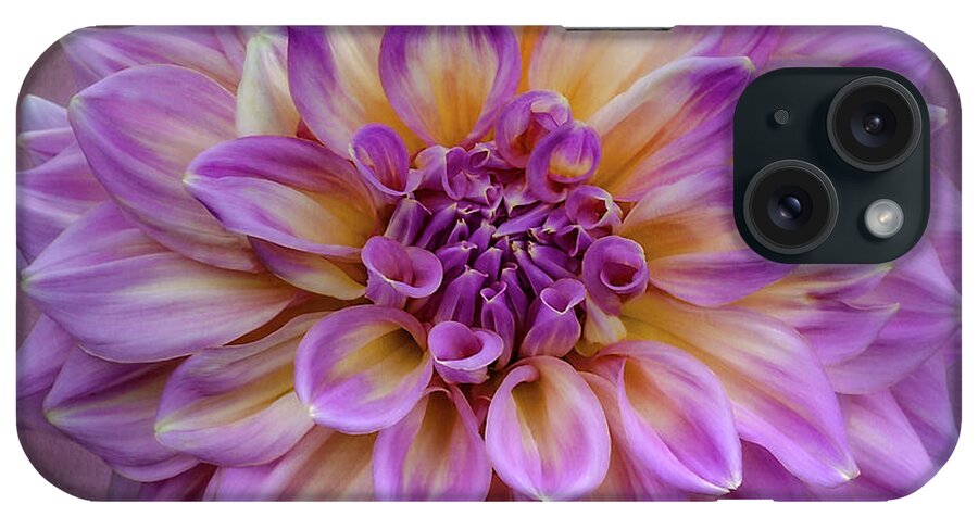 Flower iPhone Case featuring the photograph Dahlia 'Kidd's Climax' #1 by Ann Jacobson