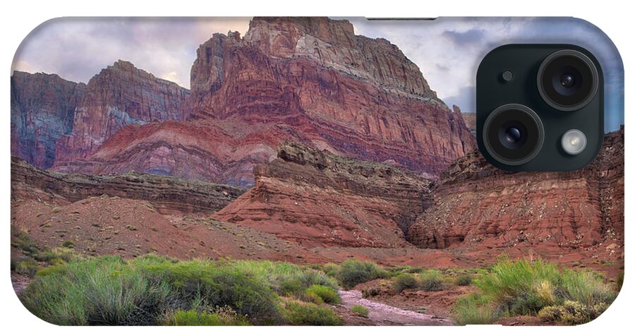 00574850 iPhone Case featuring the photograph Desert And Cliffs, Vermilion Cliffs by Tim Fitzharris