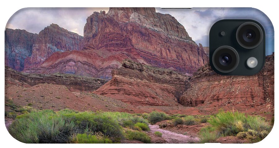 00574850 iPhone Case featuring the photograph Desert And Cliffs, Vermilion Cliffs Nm, Arizona #1 by Tim Fitzharris