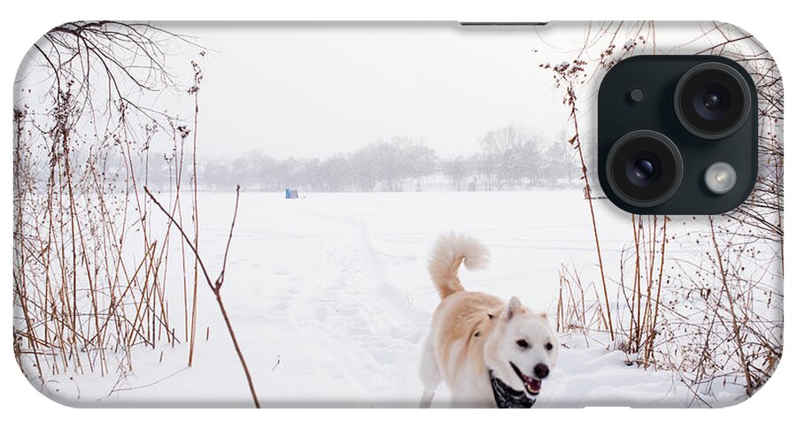 Dog iPhone Case featuring the photograph Dog Running In Snow Covered Field #1 by Cavan Images
