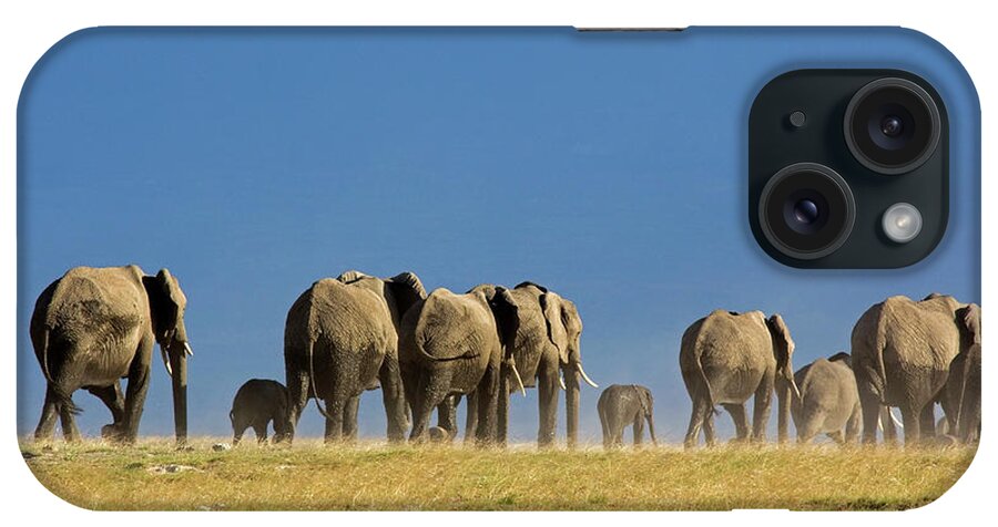 Following iPhone Case featuring the photograph Elephant Herd #1 by Wldavies