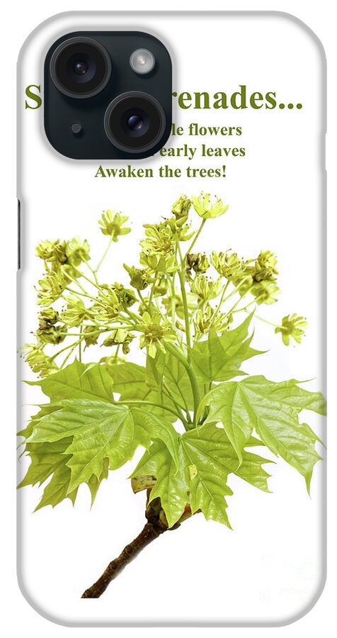 Flowers iPhone Case featuring the photograph Emerging Spring Maple Leaves And Flowers #1 by Robert C Paulson Jr
