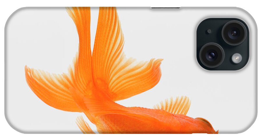 Pets iPhone Case featuring the photograph Fantail Goldfish Carassius Auratus #1 by Don Farrall