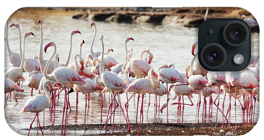 Kenya iPhone Case featuring the photograph Flamingos Near Bogoria Lake, Kenya #1 by Ivanmateev