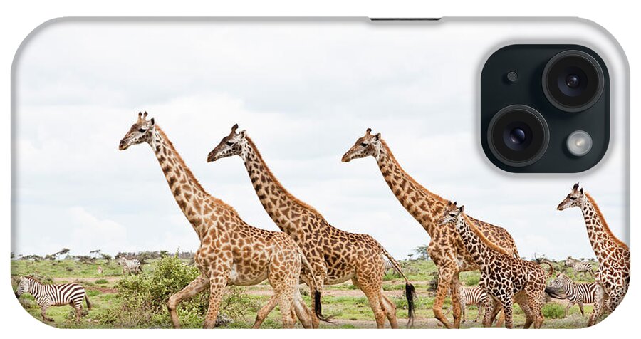 Eco Tourism iPhone Case featuring the photograph Giraffes Are Running #1 by 1001slide
