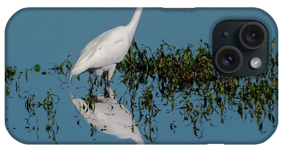 Gret Egret iPhone Case featuring the photograph Great Egret #1 by Ken Stampfer