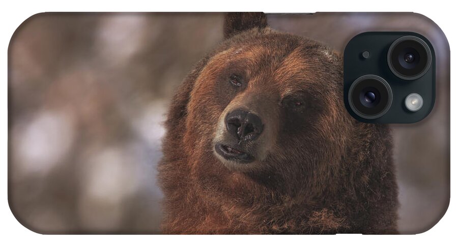 Animal iPhone Case featuring the photograph Grizzly #1 by Brian Cross