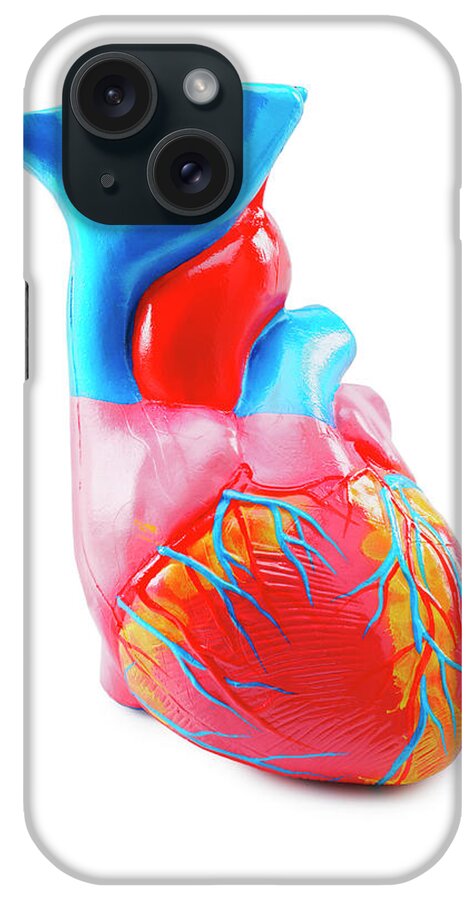 Anatomical iPhone Case featuring the drawing Heart Model #1 by CSA Images