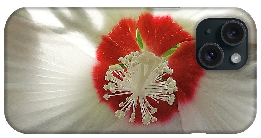 White. Yellow iPhone Case featuring the photograph Hibiscus #1 by Anita Adams