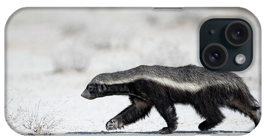 Africa iPhone Case featuring the photograph Honey Badger #1 by Tony Camacho/science Photo Library