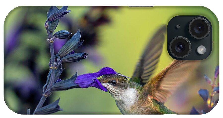 Hummingbird iPhone Case featuring the photograph Hummingbird #1 by Bill Frische