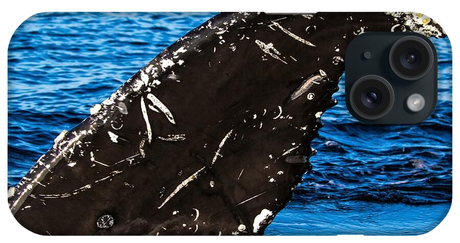Humpback Whale iPhone Case featuring the photograph Humpback Fluke #2 by Michelle Pennell