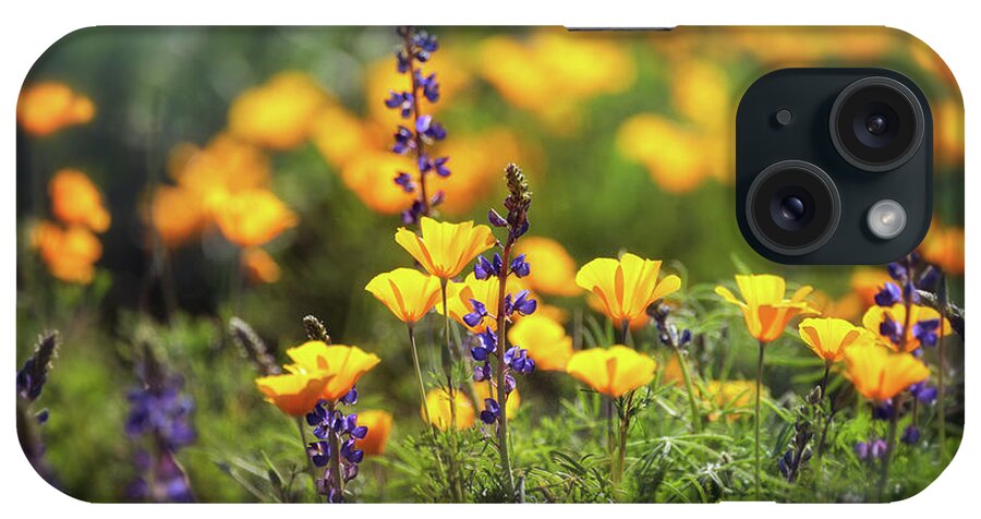 Poppies iPhone Case featuring the photograph It's A Spring Thing #2 by Saija Lehtonen