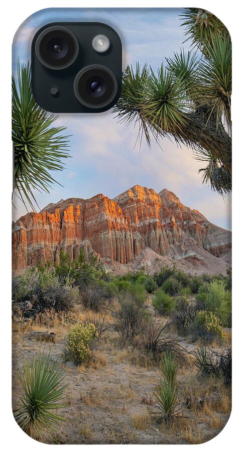 00571642 iPhone Case featuring the photograph Joshua Tree And Cliffs, Red Rock Canyon State Park, California by Tim Fitzharris