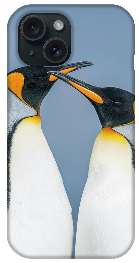 Animal iPhone Case featuring the photograph King Penguin Pair, Falklands #1 by Tui De Roy
