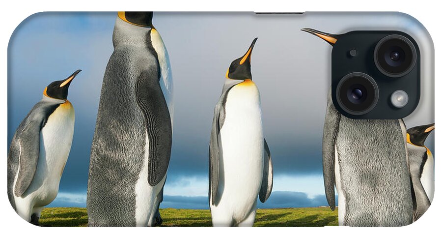 Animal iPhone Case featuring the photograph King Penguins At Volunteer Beach #1 by Tui De Roy