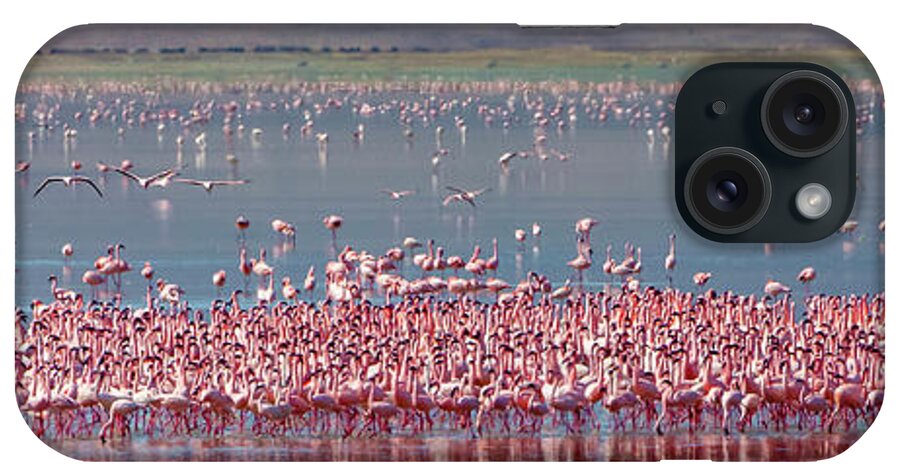 Caldera iPhone Case featuring the photograph Lesser Flamingos Rest And Feed In Lake #1 by Larry Richardson