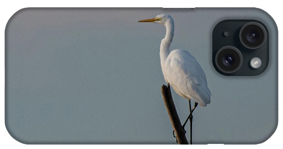  iPhone Case featuring the photograph Lone egret #1 by Patricia Dennis