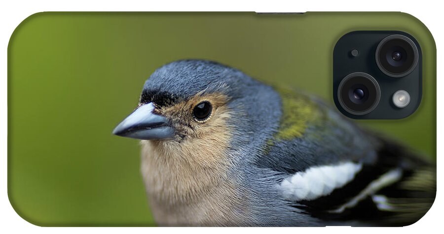 Madeiran Chaffinch iPhone Case featuring the photograph Madeiran Chaffinch Male Portrait by Eva Lechner