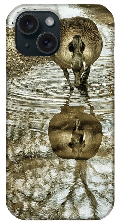 Geese iPhone Case featuring the photograph Mirror Mirror by Cate Franklyn