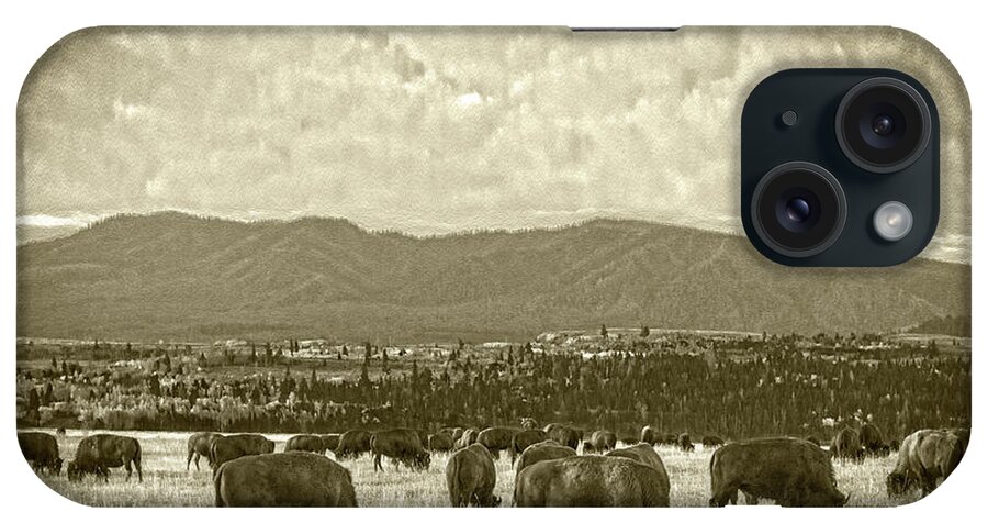 Early Morning iPhone Case featuring the photograph Morning Bison Grazing Two Versions #1 by Angelo Marcialis