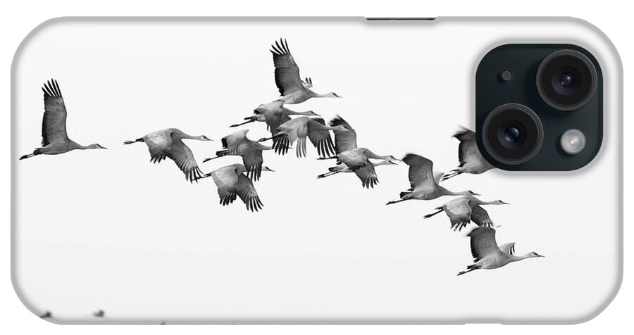 Richard E. Porter iPhone Case featuring the photograph Morning Flight - Muleshoe Wildlife Refuge, Texas #1 by Richard Porter