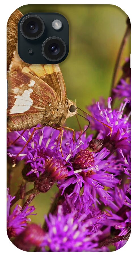 Macro Photography iPhone Case featuring the photograph Moth On Purple Flowers #1 by Meta Gatschenberger