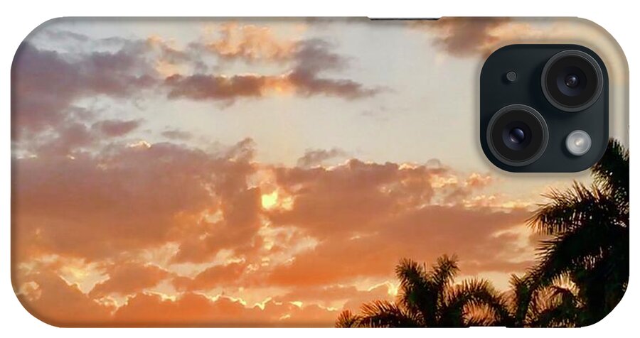 Sunset iPhone Case featuring the photograph Neighborhood Watch #1 by Gary F Richards