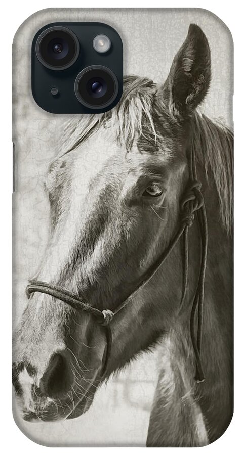 Horses iPhone Case featuring the photograph Old West Transportation by Elaine Malott