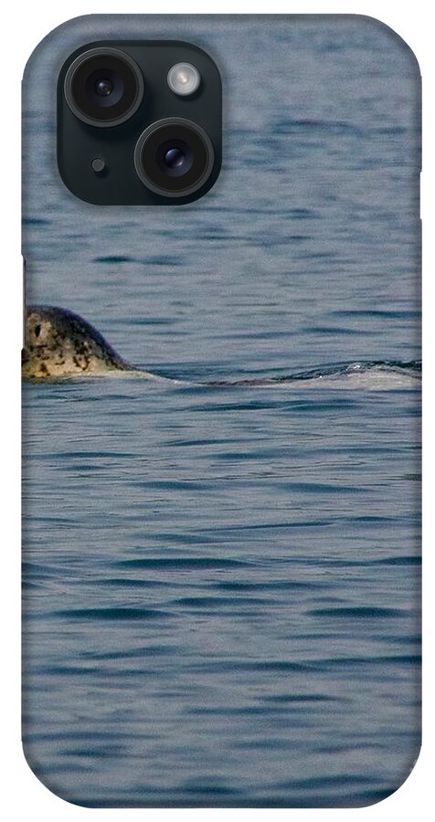 Photography iPhone Case featuring the photograph Pacific Harbor Seal #1 by Sean Griffin
