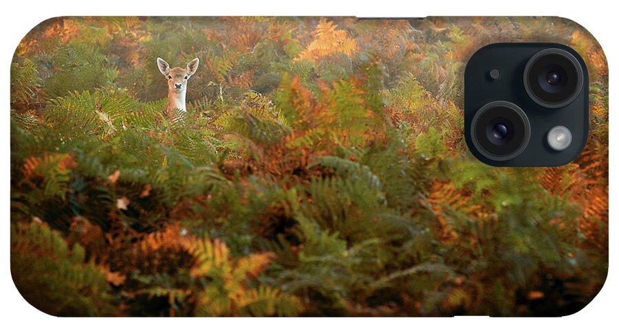 Scenics iPhone Case featuring the photograph Peek A Boo #1 by Markbridger
