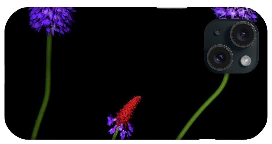Primula iPhone Case featuring the photograph Primula Vialii #1 by Photograph By Magda Indigo