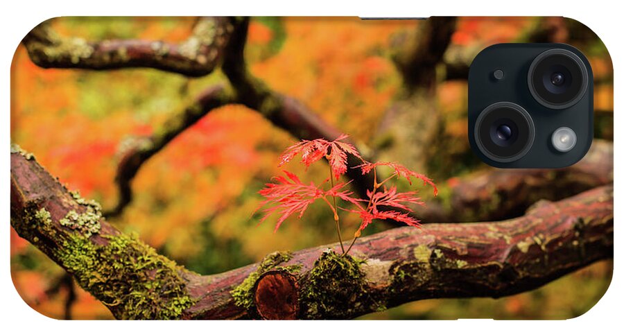 Japanese Garden iPhone Case featuring the photograph Rebirth by Briand Sanderson