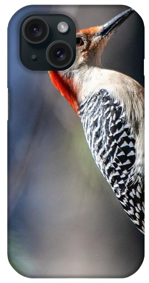 Red Bellied Woodpecker iPhone Case featuring the photograph Red-Bellied Woodpecker #1 by Mary Ann Artz