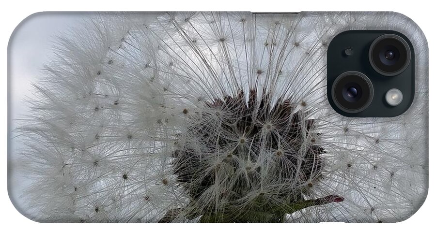 Flower iPhone Case featuring the photograph Serenity #1 by Karin Ravasio