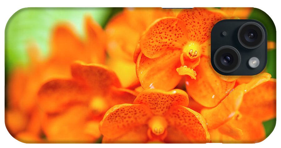 Background iPhone Case featuring the photograph Spotted Tangerine Orchid Flowers #1 by Raul Rodriguez