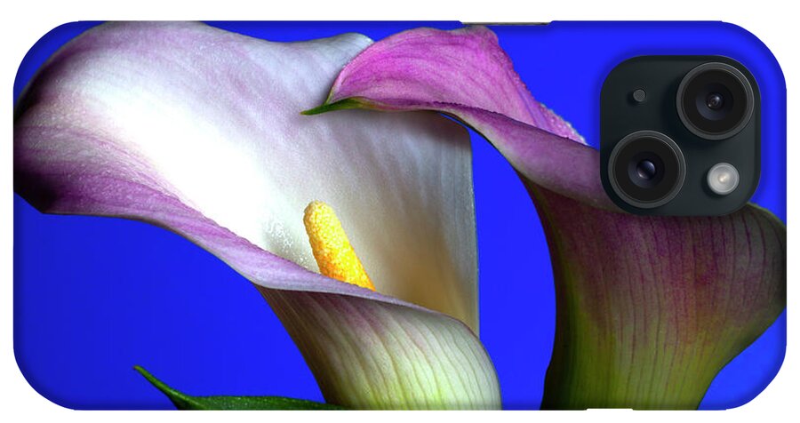 Calla iPhone Case featuring the photograph Sublime #2 by Doug Norkum