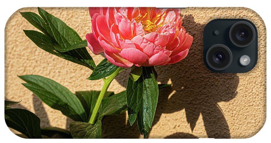 Sublime Peony iPhone Case featuring the painting Sublime Peony, Dijon, France, April by European School