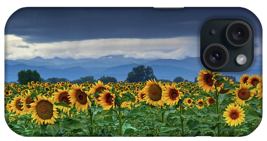 Colorado iPhone Case featuring the photograph Sunflowers Under A Stormy Sky #1 by John De Bord