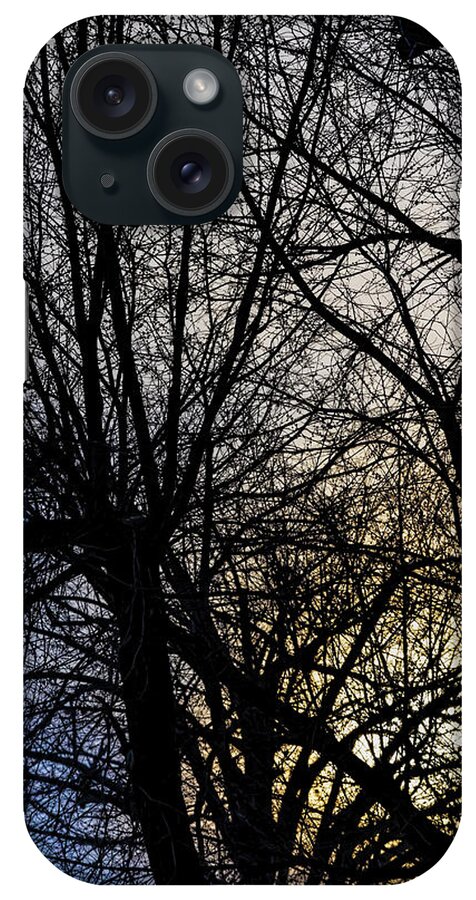 Sunset Sky And Trees iPhone Case featuring the photograph Sunset Sky and Trees #1 by Robert Ullmann