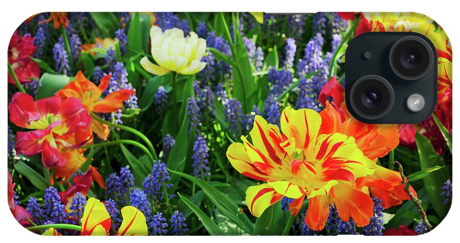 Tulips iPhone Case featuring the photograph Tulips and Bluebell Flowerbed #2 by Anastasy Yarmolovich