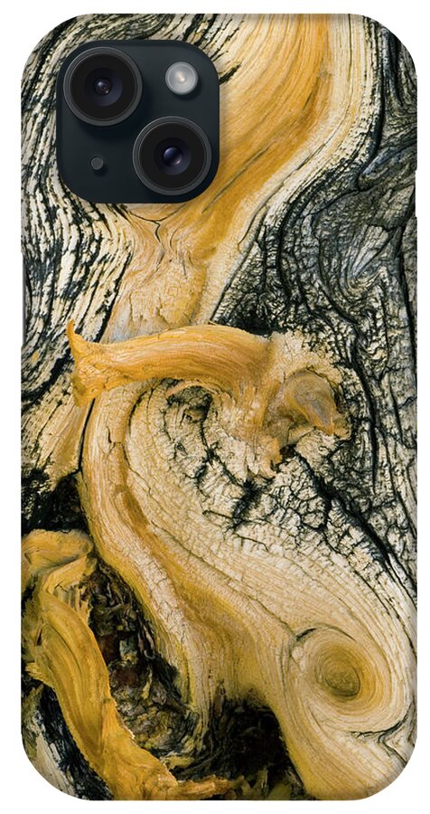 Weathered iPhone Case featuring the photograph Weathered Wood Of Ancient Bristlecone #1 by Kevin Schafer