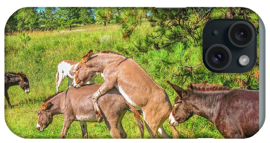 Donkeys Mating iPhone Case featuring the photograph Wild Donkeys mating #1 by Benny Marty
